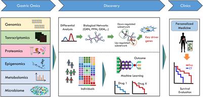 Systems Biology of Gastric Cancer: Perspectives on the Omics-Based Diagnosis and Treatment